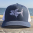 Shark Snap Back for John Ahern - College Collections Art